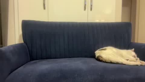 hoplonger online show from March 6, 2026, 2:13 pm