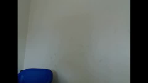 Snapshot of horny4bum chatting on February 13, 2025, 11:17 am horny4bum online show from February 13, 2025, 11:17 am