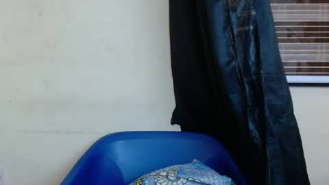 Snapshot of horny4bum chatting on March 1, 2025, 7:48 pm horny4bum online show from March 1, 2025, 7:48 pm