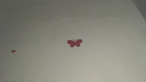 Iris online show from March 3, 2026, 9:31 pm