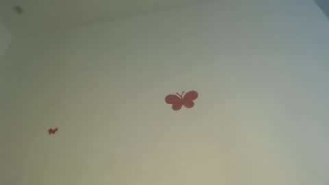 Iris online show from April 3, 2026, 7:34 pm