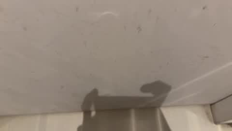 Snapshot of hornybear420420420 chatting on March 2, 2026, 9:16 am hornybear420420420 online show from March 2, 2026, 9:16 am