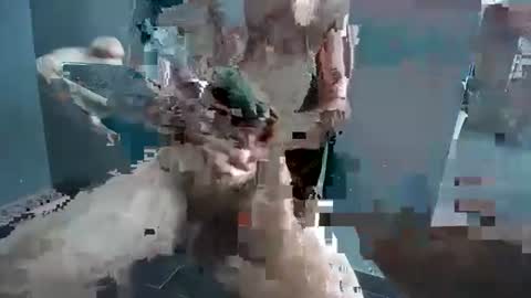 Hornyrippa online show from December 22, 2024, 1:23 am