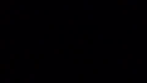 horsebrowm online show from January 2, 2025, 2:33 am