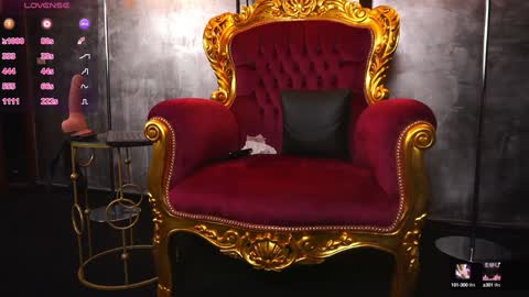 Mistress online show from December 20, 2024, 9:43 am