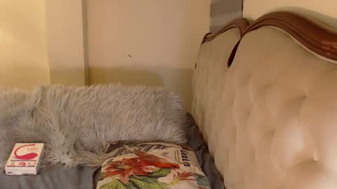 Snapshot of hotgoddesselectrax chatting on October 29, 2025, 4:59 am Miss ELY online show from October 29, 2025, 4:59 am