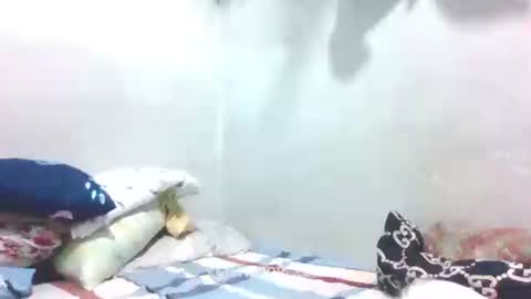 hotlavender online show from January 27, 2025, 4:09 am