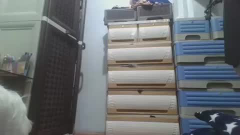 hotlavender online show from December 17, 2025, 2:28 am