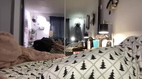 Annabelle online show from December 15, 2025, 11:53 pm