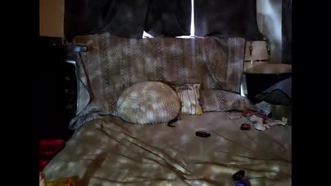 hotrox6942 online show from September 24, 2025, 10:51 am