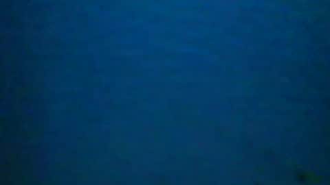 hotsurfdude1992 online show from October 9, 2025, 10:13 am