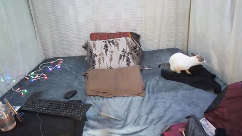 hottiedanicatrans69 online show from May 18, 2026, 8:58 pm
