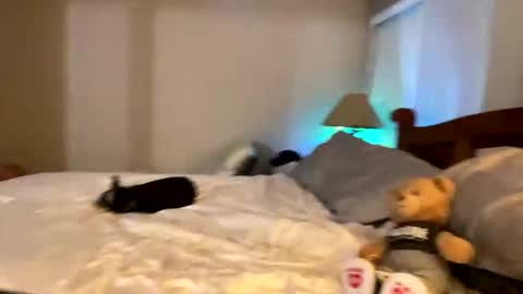 hottiewithabody101 online show from April 11, 2026, 11:53 pm