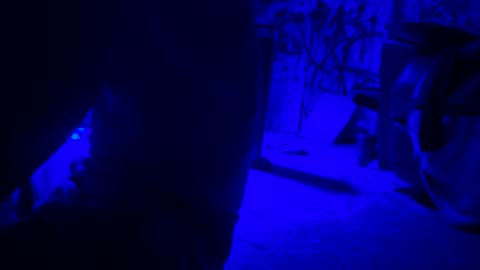 ask me online show from April 21, 2026, 1:42 am