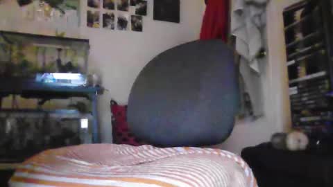 hrnyymff online show from November 28, 2025, 5:04 pm