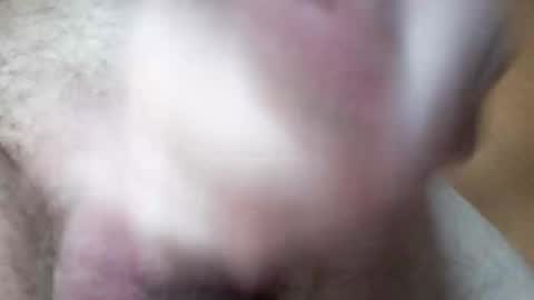 Snapshot of hrubesch2019 chatting on October 26, 2025, 10:54 am hrubesch2019 online show from October 26, 2025, 10:54 am