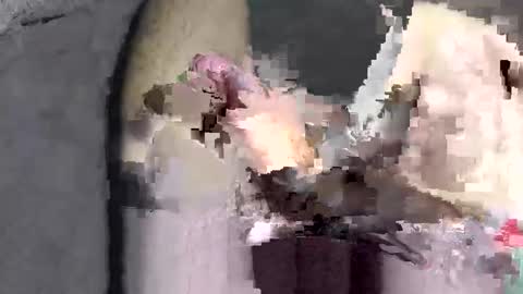 Huge dick online show from December 2, 2025, 6:03 pm