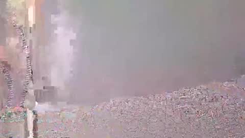 Bella Fox online show from November 2, 2025, 3:42 am