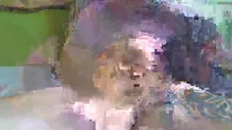 Snapshot of hugo_theboss_ chatting on February 8, 2025, 12:06 pm hugo_theboss_ online show from February 8, 2025, 12:06 pm