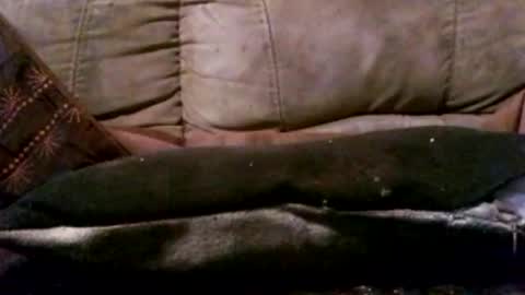 hung420boner online show from March 3, 2026, 5:41 pm