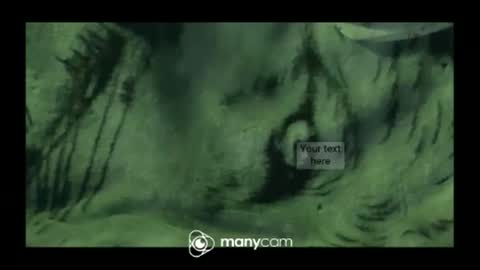 hung420boner online show from March 10, 2026, 3:28 pm