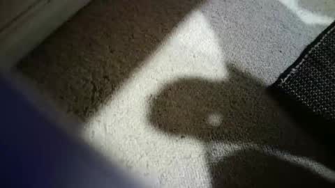 Hypeman online show from February 14, 2026, 3:58 am