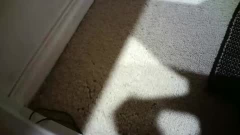 Hypeman online show from February 18, 2026, 8:32 am