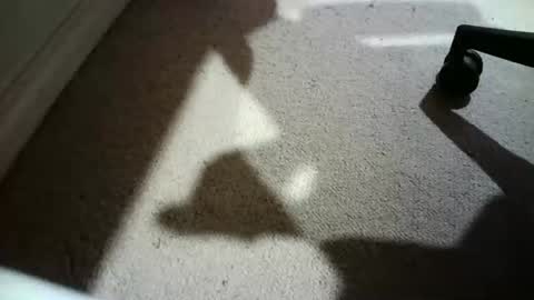 Hypeman online show from February 24, 2026, 6:00 am