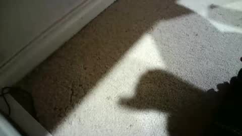 Hypeman online show from February 26, 2026, 6:23 am