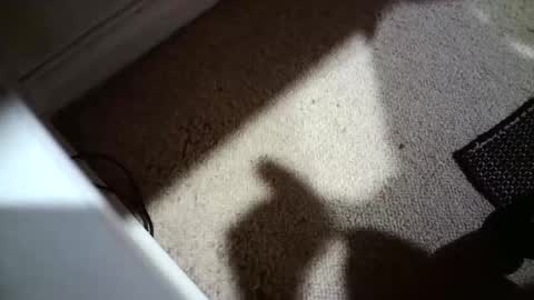 Hypeman online show from April 12, 2026, 5:23 am