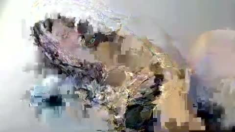 Snapshot of i_love_eula chatting on February 12, 2025, 1:59 pm cant get you out of my head online show from February 12, 2025, 1:59 pm