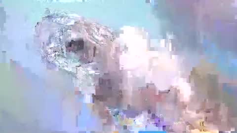 Snapshot of i_love_eula chatting on February 15, 2025, 2:22 pm cant get you out of my head online show from February 15, 2025, 2:22 pm