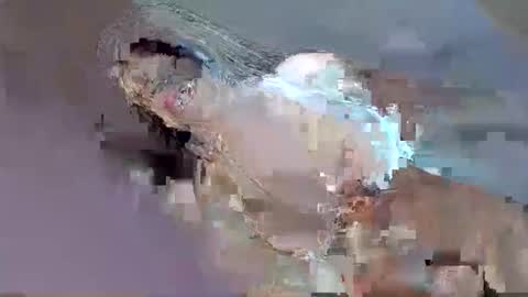 Snapshot of i_love_eula chatting on September 12, 2025, 12:33 am cant get you out of my head online show from September 12, 2025, 12:33 am