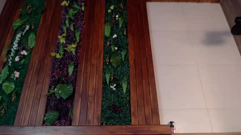 Ian Davis online show from March 4, 2025, 7:54 pm