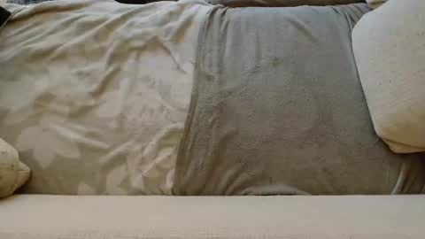 SnowTiger online show from January 24, 2025, 11:04 am