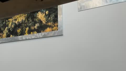 idfunguy2023 online show from January 10, 2025, 8:15 pm