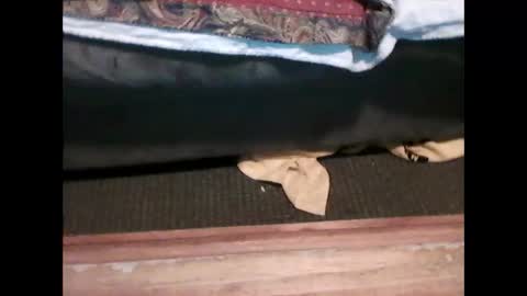 idkwhyidothis348732 online show from January 5, 2025, 6:02 pm