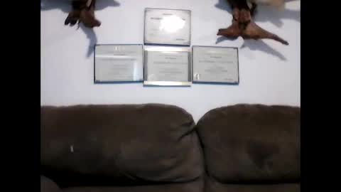 idkwhyidothis348732 online show from January 8, 2025, 8:18 pm