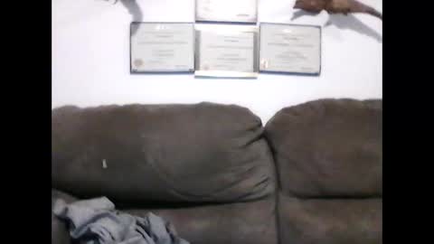 idkwhyidothis348732 online show from January 14, 2025, 12:03 pm