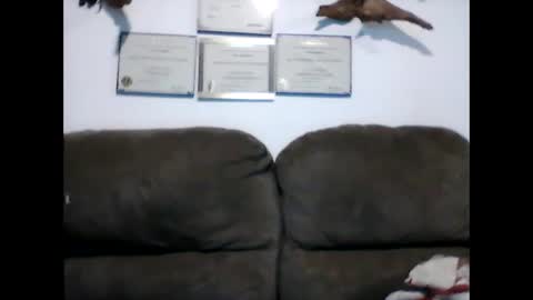 idkwhyidothis348732 online show from February 11, 2025, 12:05 pm