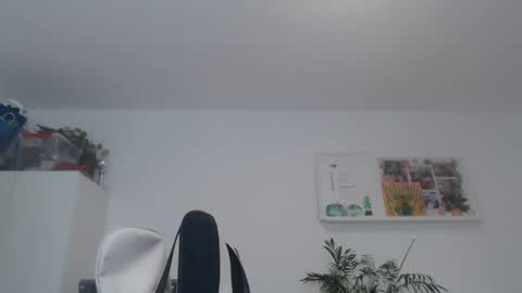 ner d online show from February 21, 2025, 8:51 am