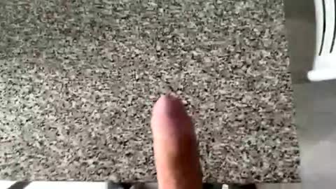 Snapshot of ilconte81 chatting on March 10, 2026, 2:33 pm ilconte81 online show from March 10, 2026, 2:33 pm