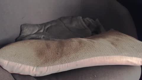 MR Marathon online show from October 25, 2025, 5:15 am