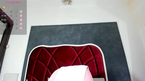 illegal_lorry online show from December 20, 2024, 10:49 am