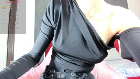 illegal_lorry online show from February 2, 2025, 4:15 am