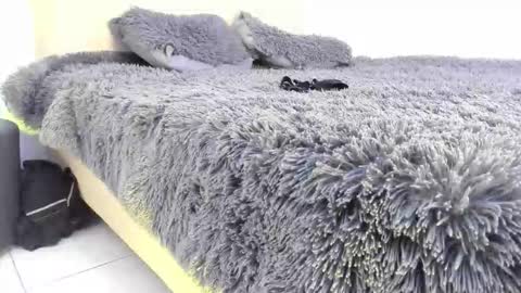 Snapshot of im_thomass chatting on January 11, 2026, 4:17 am thomas online show from January 11, 2026, 4:17 am