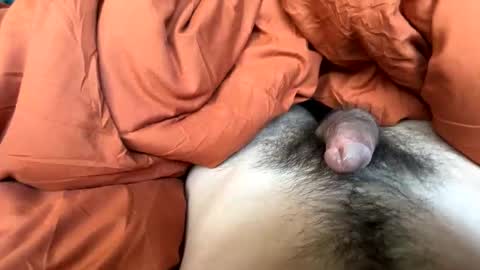 Snapshot of imakeucumonmyface chatting on February 25, 2026, 9:24 pm imakeucumonmyface online show from February 25, 2026, 9:24 pm