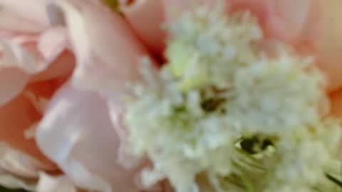 Carrie online show from March 3, 2025, 4:35 pm