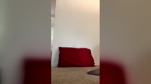 imdirtydan024 online show from May 29, 2026, 6:11 am