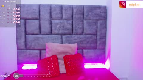 Snapshot of imsofy_1 chatting on February 8, 2025, 11:45 pm sofy online show from February 8, 2025, 11:45 pm